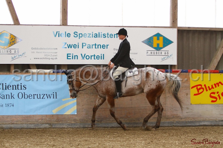29-ApHC OHUS_038.jpg